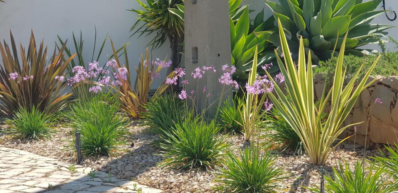 Villa Quinta Da Violeta Loulé Exterior foto